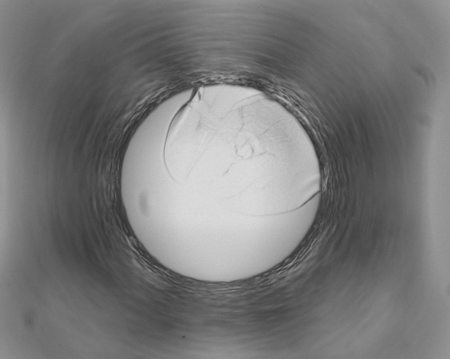 X0000111621060200908281108