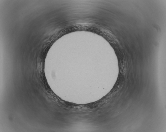 X0000111621061200908281108