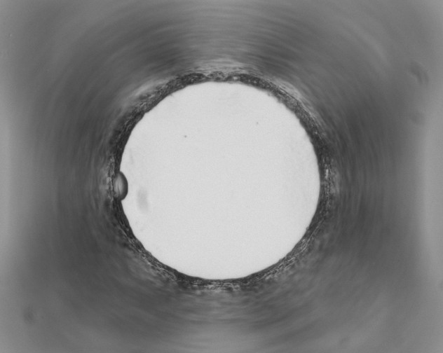 X0000111621063200908281108