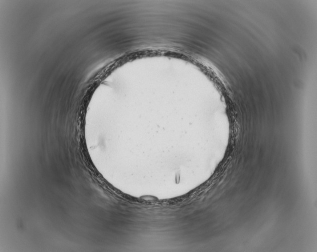 X0000111621064200908281108