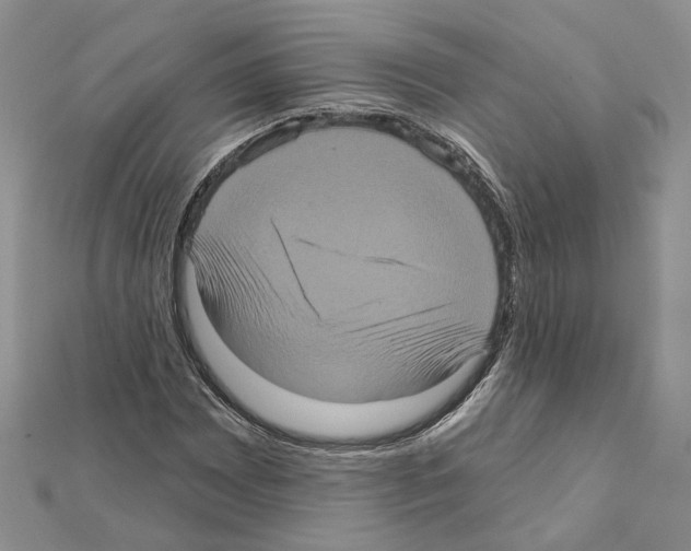 X0000111621065200908281108