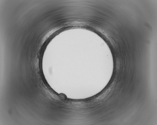 X0000111621066200908281108