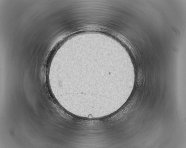 X0000111621067200908281108