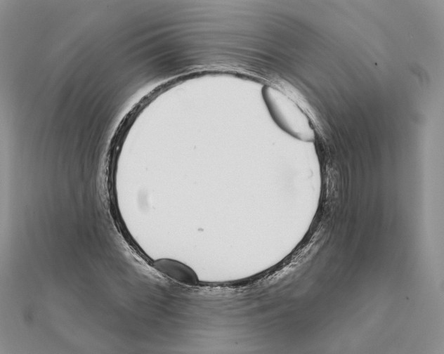 X0000111621068200908281108