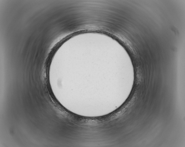 X0000111621070200908281108