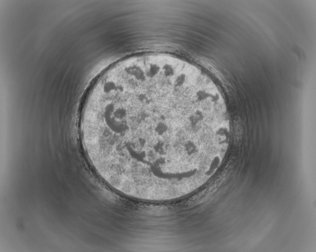 X0000111621071200908281108