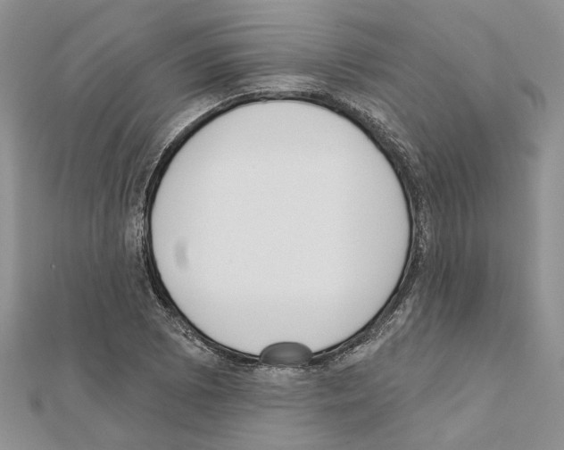 X0000111621073200908281108