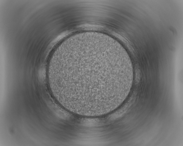 X0000111621074200908281108