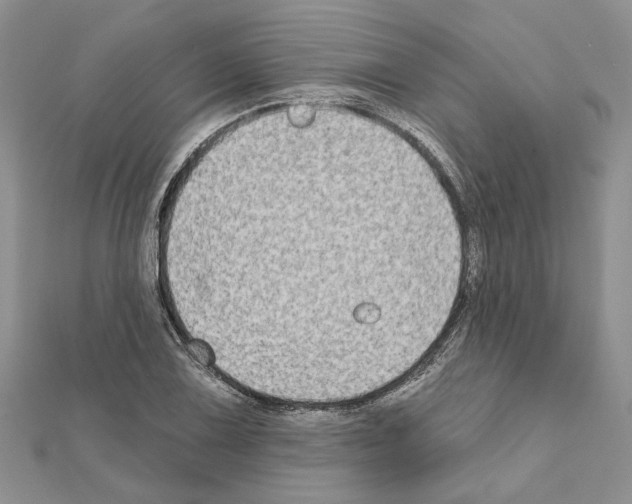 X0000111621075200908281108