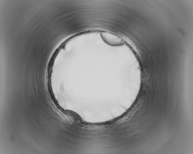 X0000111621076200908281108