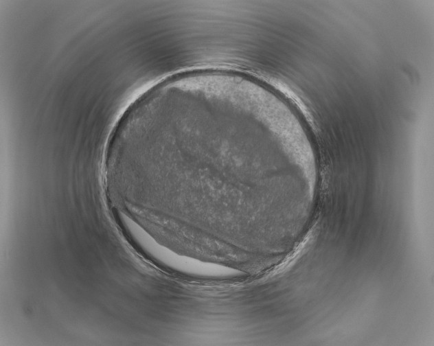 X0000111621077200908281108