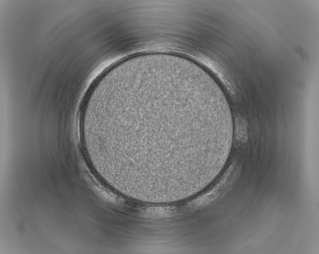 X0000111621078200908281108