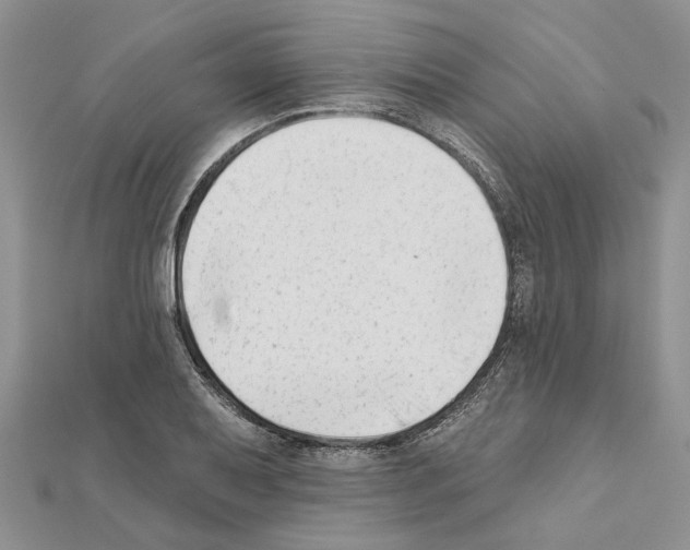 X0000111621079200908281108