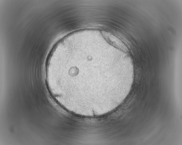 X0000111621080200908281107