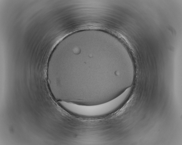 X0000111621081200908281107