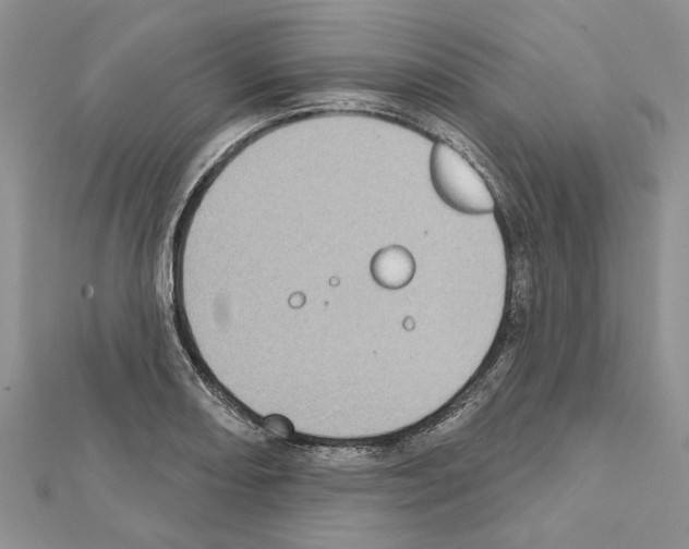 X0000111621082200908281107