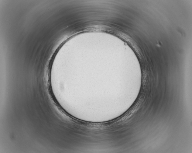 X0000111621083200908281107