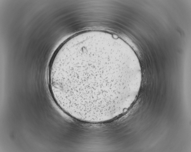 X0000111621084200908281107