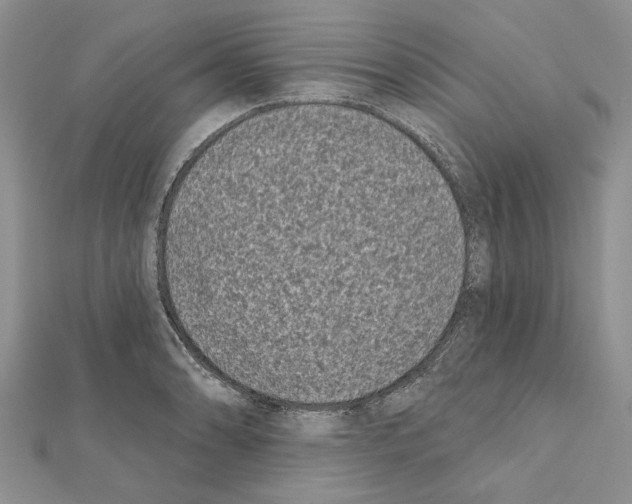 X0000111621086200908281107