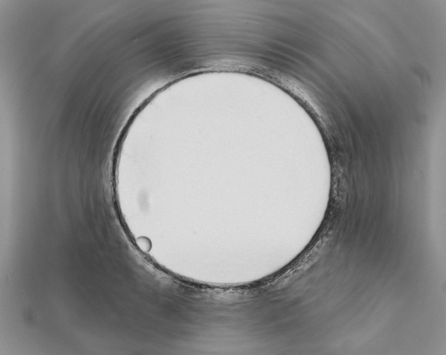 X0000111621087200908281107