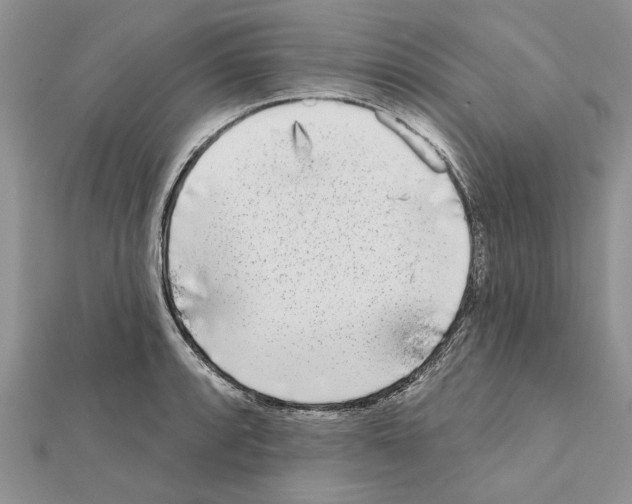 X0000111621088200908281107