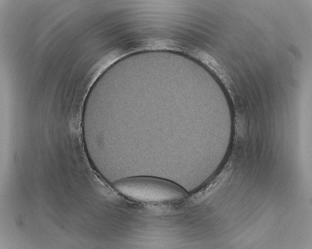 X0000111621089200908281107