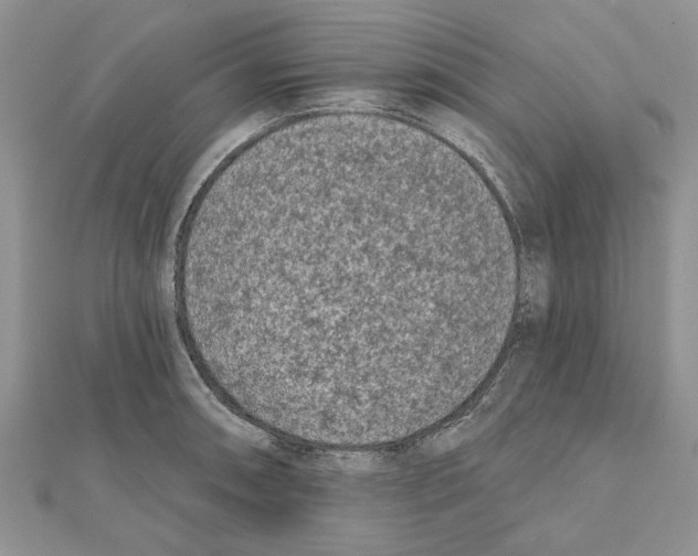 X0000111621090200908281107