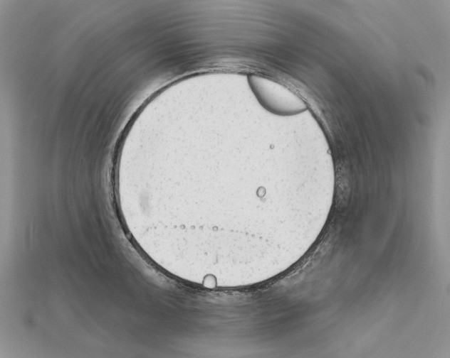 X0000111621091200908281107