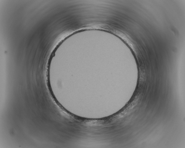 X0000111621093200908281107