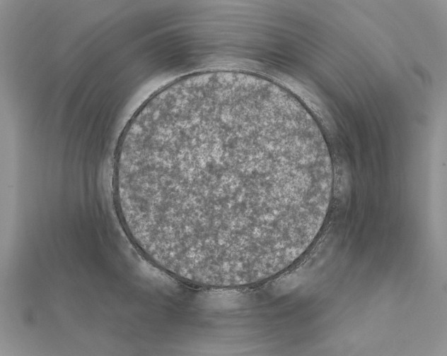 X0000111621094200908281107