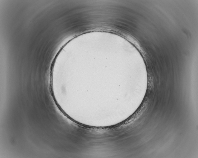 X0000111621095200908281107