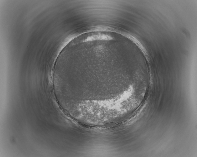 X0000111621097200908281107