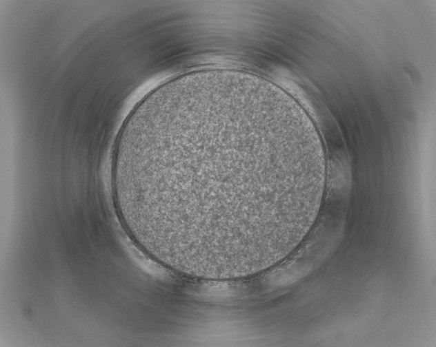 X0000111621098200908281107