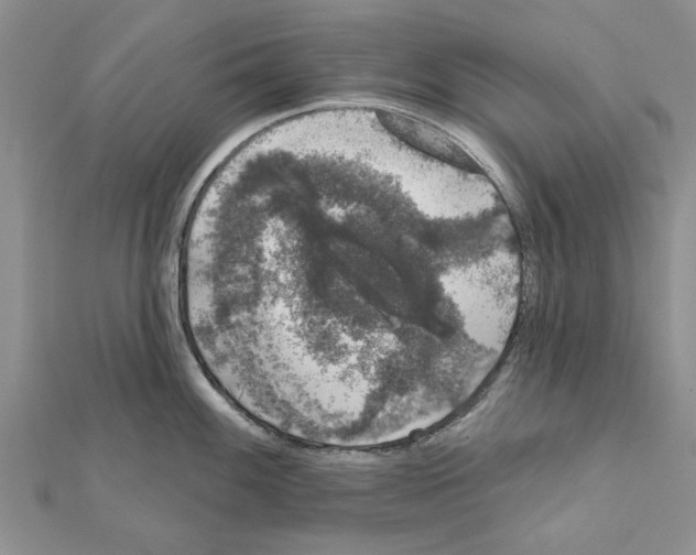 X0000111621100200908281107