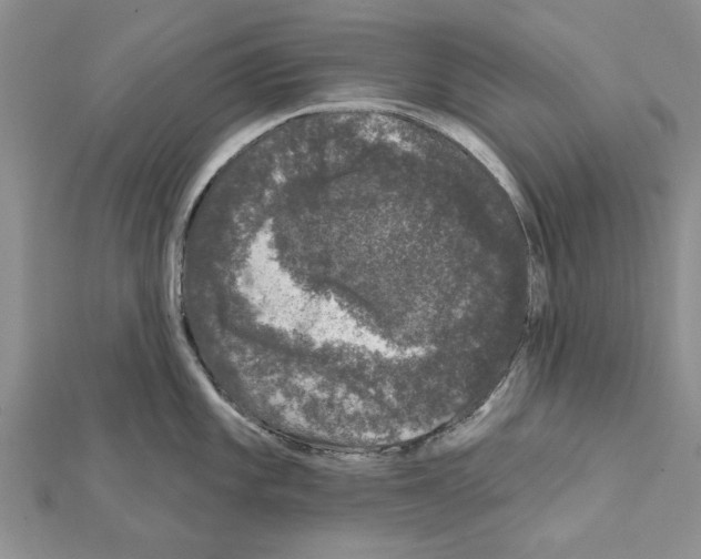 X0000111621101200908281107