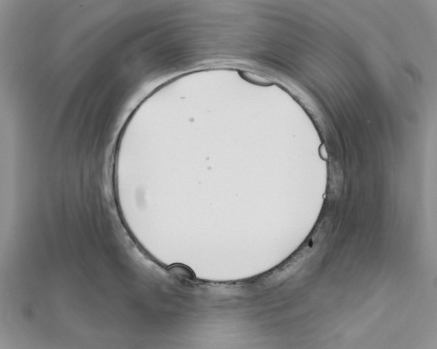 X0000111621102200908281107