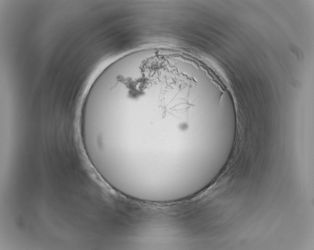 X0000111621104200908281107