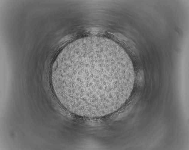 X0000111621105200908281106