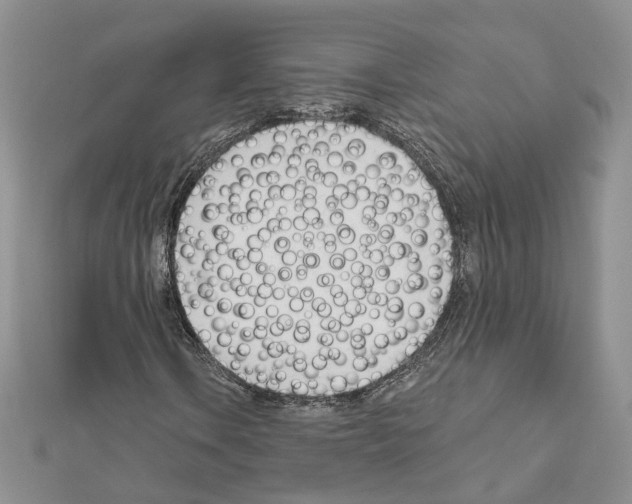 X0000111621106200908281106