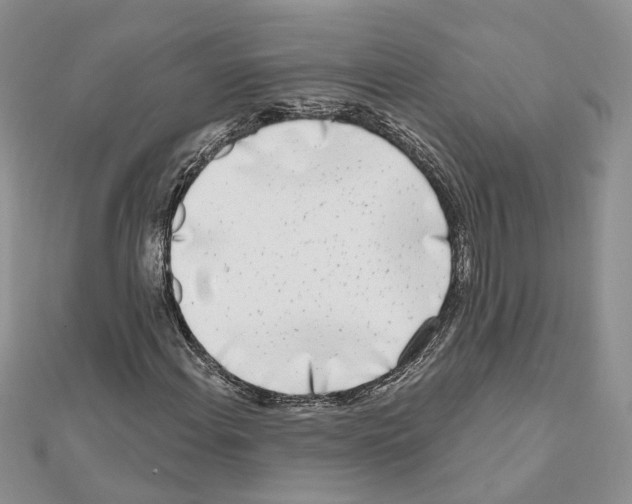 X0000111621108200908281106