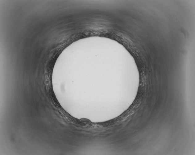 X0000111621109200908281106