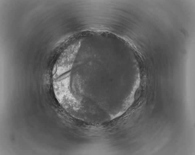 X0000111621110200908281106