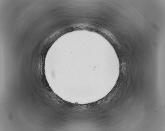 X0000111621111200908281106