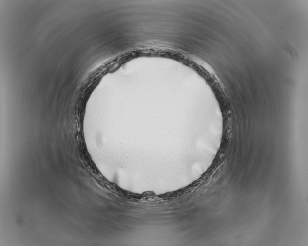 X0000111621112200908281106