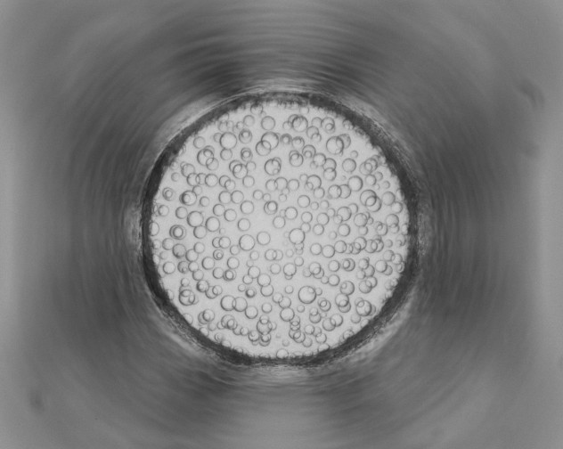 X0000111621113200908281106