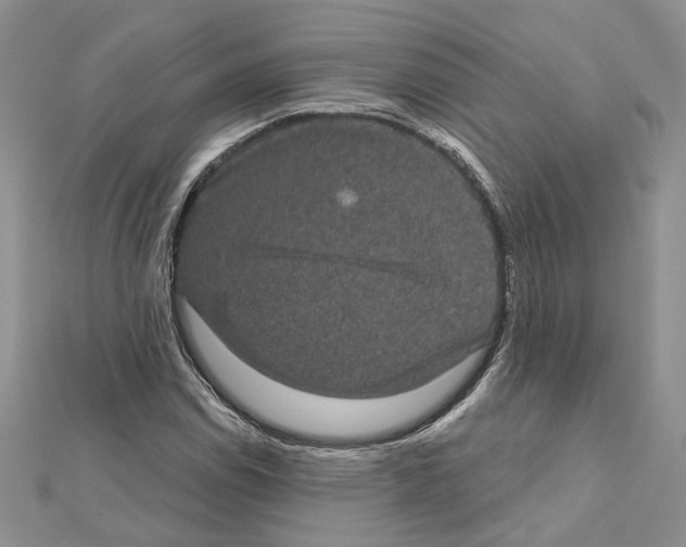 X0000111621114200908281107