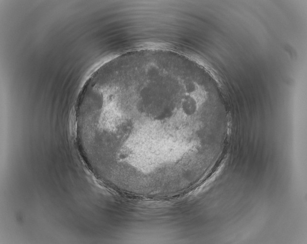 X0000111621117200908281107