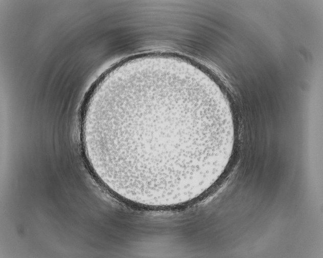 X0000111621118200908281107