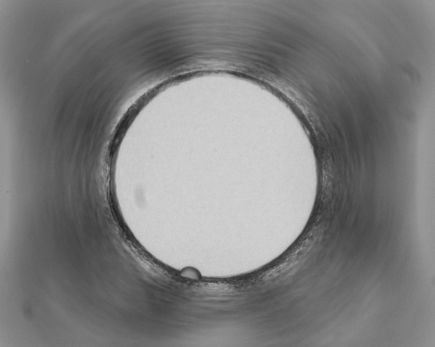 X0000111621119200908281107