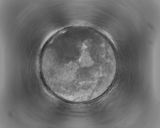 X0000111621120200908281107